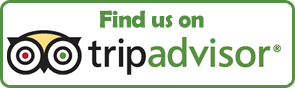 trip advisor